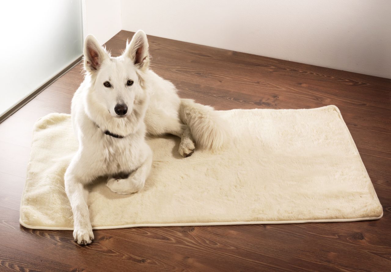 Haustierdecke, eckig